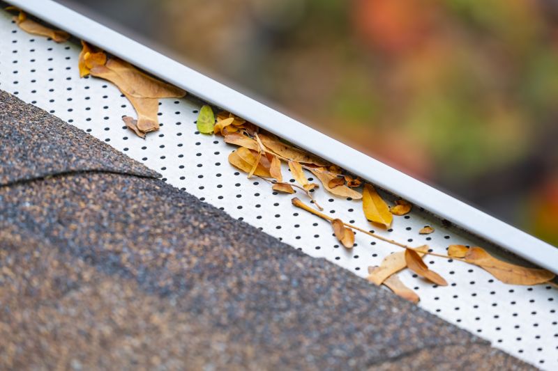 Gutter Covers with Debris Prevention